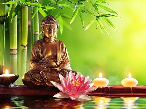 BULOR Sitting Buddha Golden Lights Tapestry Lotus Meditating Zen Wall Hangings Tapestry for Kids Baby Birthday Bedroom Living Room Dorm Background 60x40inch in Saudi Arabia