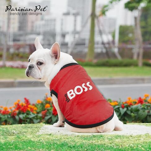 Parisian Pet Dog Cat Clothes Tee Shirts Drama Queen T-Shirt, XL in Saudi Arabia
