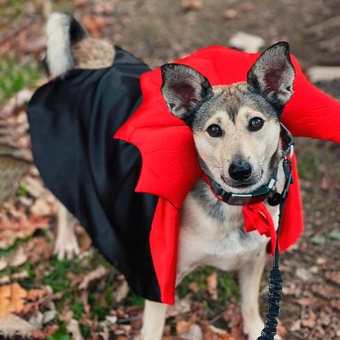 ADOGGYGO Halloween Dog Costume Dog Vampire Devil Costume Dog Halloween Cloak Cape Red Black Halloween Costumes for Small Medium Large Dogs in Kuwait