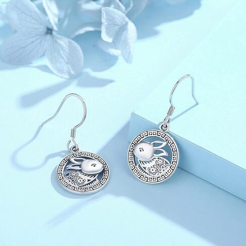 Dragon Earrings Sterling Silver Dragon Jewelry for Sensitive Ears Oriental Dragon Dangle Earrings Fish Hook Dragon Animal Birthday Gifts for Women Girls in Kuwait