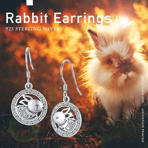 Dragon Earrings Sterling Silver Dragon Jewelry for Sensitive Ears Oriental Dragon Dangle Earrings Fish Hook Dragon Animal Birthday Gifts for Women Girls in Kuwait