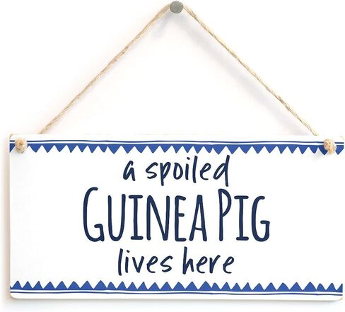 Meijiafei Life is Good but Guinea Pigs Make it Better! - Home Decor Accessory Gift Sign for Guinea Pig Lovers 10"x5" in Saudi Arabia