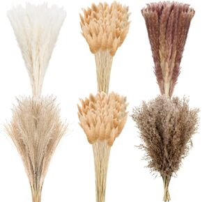 Treela 360 Pcs Pampas Grass Decor 17'' Brown White Pompous Grass Bouquet Dried Flowers Boho Plants for Boho Arrangements Wedding Home Decor