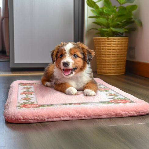 Barelove Rose Floral Area Rugs Ultra Soft Low Pile Shag Rug, Non Slip Washable Modern Floor Mat Pad for Living Room Bedroom Bathroom Dorm Kitchen Entryway 19.7 X 23.6 INCH (Heart, Green) in Kuwait