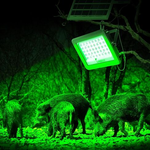 LANGY Hog Hunting Lights, Solar Green Light for Hunting Hogs Deers,Motion Activated Feeder Lights with Remote,19" Bracket is Included in Saudi Arabia