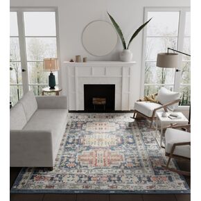 Rugs America Gallagher GL55G Canvas Sundara Vintage Transitional Gray Distressed Non-Shedding Living Room Bedroom Dining Home Office Area Rug 2'6"x4'