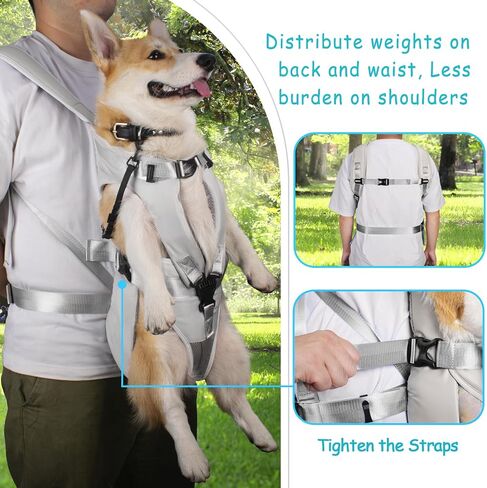 PetBonus Dog Front Carrier Backpacks, Legs Out Easy-fit Puppy Chest Carrier in Kuwait
