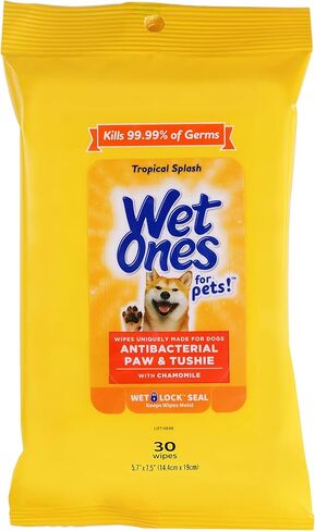 Wet Ones Dog Wipes, Pack of 2, 30 Count Total | Paw & Tushie | Tropical Splash Scent | Wet Lock Seal Pouch | With Chamomile in Kuwait