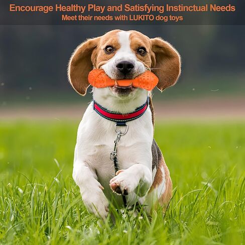 العاب مضغ الجراء، العاب مضغ متينة تصدر صرير للكلاب للتسنين، العاب تسنين قوية مع مطاط طبيعي لتنظيف اسنان الكلاب الصغيرة والمتوسطة (لون اخضر) in Kuwait