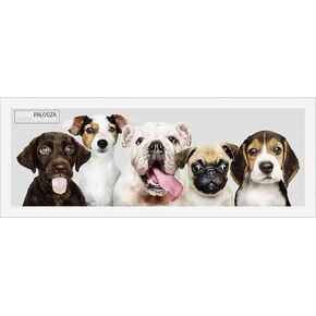 Poster Palooza 17x21 Contemporary White Wood Picture Frame - UV Acrylic, Foam Board Backing, & Hanging Hardware Included!