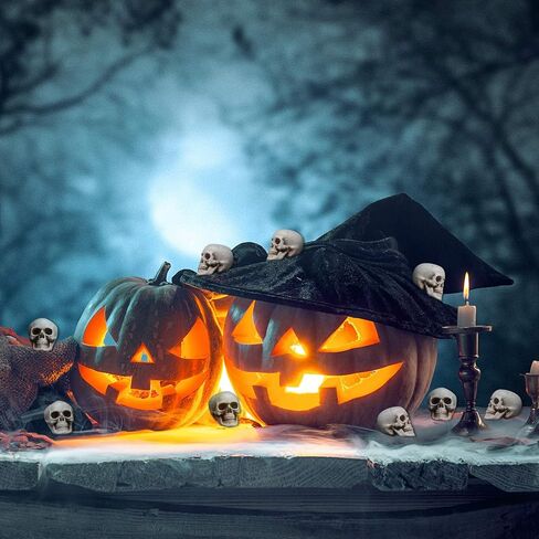 Halloween Skulls Human Skeleton Head Skull Head Realistic Skeleton Skulls for Halloween Home Table Decor (10, Mini) in Saudi Arabia