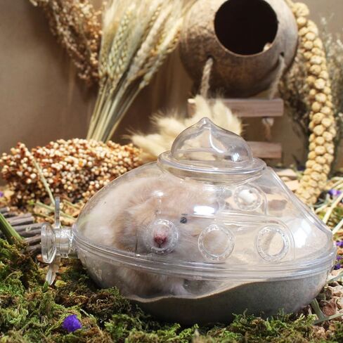 Hamster Bath Sand, 3lb Dust Free Desert Sand or Potty Litter Sand for Hamster Chinchillas Gerbil Syrian Mice Small Animals(Beige) in Kuwait