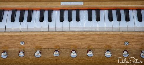 هارمونيوم من مهراجا ميوزيكالز، قابل للطي، 9 توقفات، في الولايات المتحدة الأمريكية، محمول، لون طبيعي، 3 1/2 أوكتاف، مضبوط على A440، قارنة توصيل، حقيبة، آلة موسيقية هندية (PDI-AHH) in Kuwait