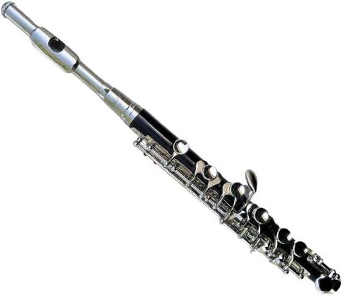 Deloitte Piccolo C Key, Nickel Plated, DPC-110, for Beginner Kids Student Piccolo Instrument with Cleaning Kit, Carrying Case in Kuwait