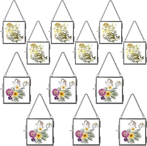 Kigley 12 Pcs Double Glass Frame 2.4" and 3.2" Square Glass Frame Pressed Flower Art Floating Picture Frame with Chain Hanging Metal Frame Hanging Photo Frame for Display Gallery Artwork in Saudi Arabia