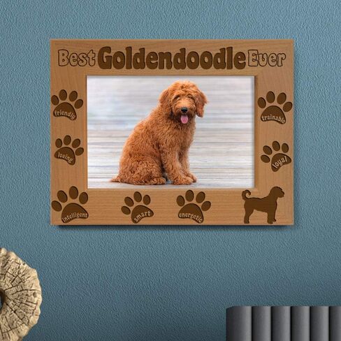 إطار صورة KATE POSH Goldendoodle، أفضل Goldendoodle على الإطلاق، هدية جرو جديدة، هدية لمحبي الكلاب، كلب تذكاري، إطار صور من الخشب الطبيعي محفور (5 × 7 رأسيًا) in Saudi Arabia