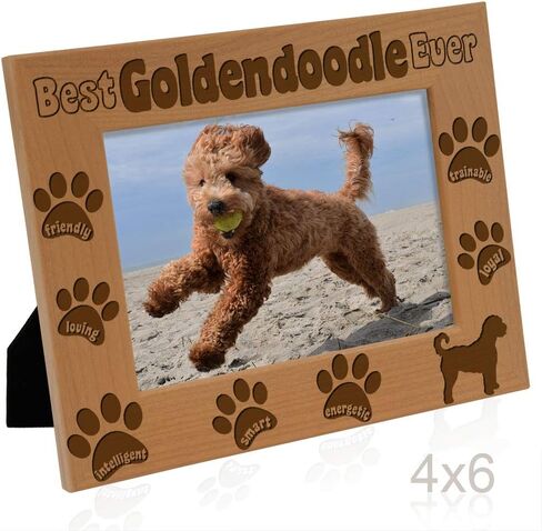 إطار صورة KATE POSH Goldendoodle، أفضل Goldendoodle على الإطلاق، هدية جرو جديدة، هدية لمحبي الكلاب، كلب تذكاري، إطار صور من الخشب الطبيعي محفور (5 × 7 رأسيًا) in Saudi Arabia