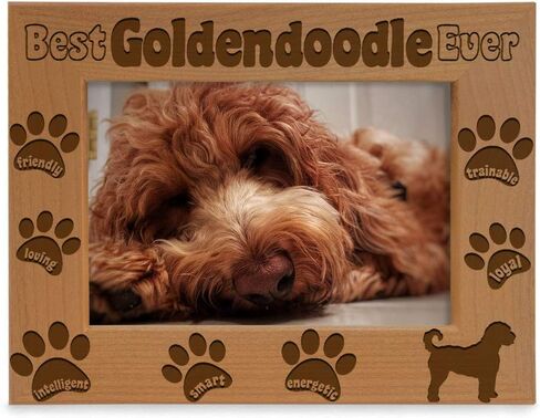 إطار صورة KATE POSH Goldendoodle، أفضل Goldendoodle على الإطلاق، هدية جرو جديدة، هدية لمحبي الكلاب، كلب تذكاري، إطار صور من الخشب الطبيعي محفور (5 × 7 رأسيًا) in Saudi Arabia