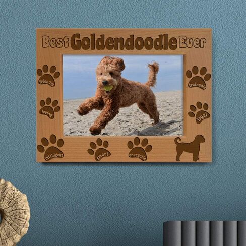 إطار صورة KATE POSH Goldendoodle، أفضل Goldendoodle على الإطلاق، هدية جرو جديدة، هدية لمحبي الكلاب، كلب تذكاري، إطار صور من الخشب الطبيعي محفور (5 × 7 رأسيًا) in Saudi Arabia