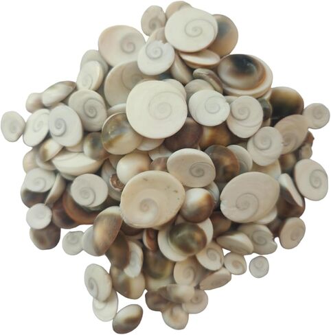 مجموعة جوماتي شاكرا كيه جاتا (30 قطعة لكل واحدة) مجموعة جومتي شقرا بوجا سامغاري لاكسمي بوجا in Kuwait