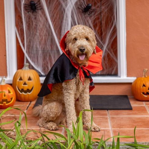 Pextian Halloween Dog Vampire Costume, Halloween Dog Cloak Costume Cape, Dog Devil Costume Dog Vampire Cloak Cape, Halloween Dog Costumes for Small Medium Large Pets Cats in Saudi Arabia
