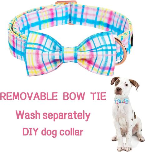 Unique style paws Easter Day Dog Collar with Flower Carrot Holiday Collar Gift for Small Medium Large Boys Girls Dogs-S in Kuwait