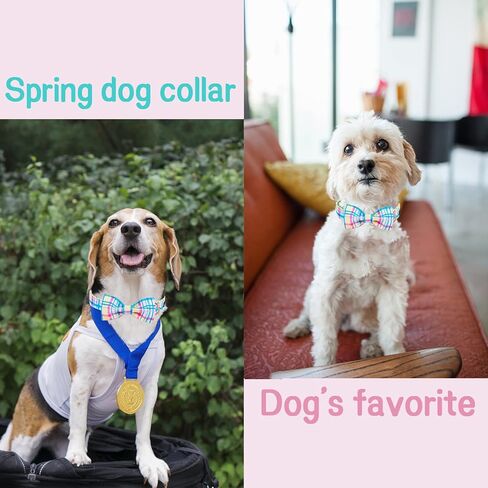 Unique style paws Easter Day Dog Collar with Flower Carrot Holiday Collar Gift for Small Medium Large Boys Girls Dogs-S in Kuwait