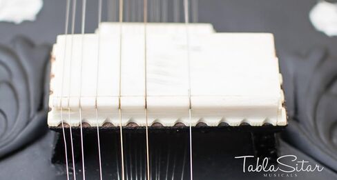 سيتار كهربائي - تومبا مفرد مسطح، نمط خرج بانشام، لون أسود، أوتار إضافية، مزراب، حقيبة (PDI-91) in Kuwait