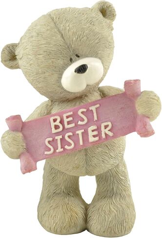 Resin Bear Figurines Cute Cub Holding Best Brother Banner Decorations Great Gift for Your Brother in Saudi Arabia