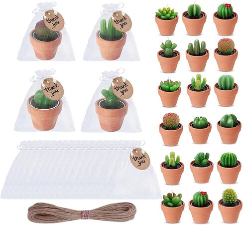 Succulent Candles, Novelty Cactus Tealight Candle Baby Shower Candle Decorations for Party Favors Terrarium Cacti candels Home Decor… in Saudi Arabia