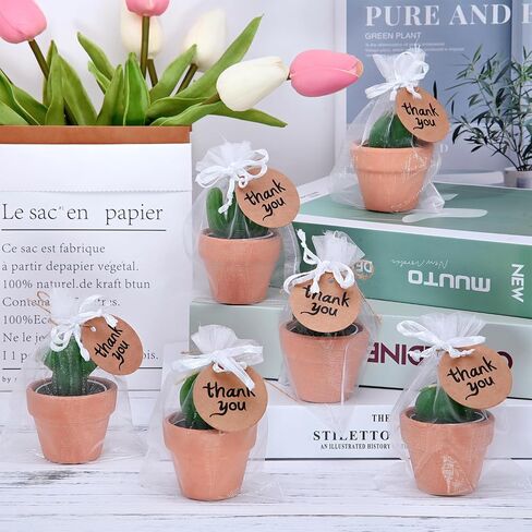 Succulent Candles, Novelty Cactus Tealight Candle Baby Shower Candle Decorations for Party Favors Terrarium Cacti candels Home Decor… in Saudi Arabia