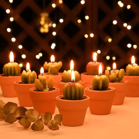 Succulent Candles, Novelty Cactus Tealight Candle Baby Shower Candle Decorations for Party Favors Terrarium Cacti candels Home Decor… in Saudi Arabia