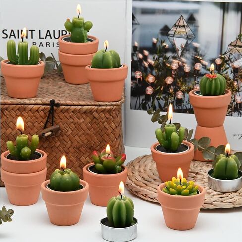 Succulent Candles, Novelty Cactus Tealight Candle Baby Shower Candle Decorations for Party Favors Terrarium Cacti candels Home Decor… in Saudi Arabia