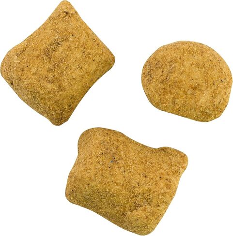 Berkley PowerBait Catfish Bait Chunks Fishing Dough Bait in Saudi Arabia