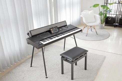 Korg PAAS mk2 Amplification System for PA5X in Kuwait