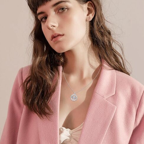 AOSAIB Compass Necklace S925 Sterling Silver I'd Be Lost Without You Diamond Compass Pendant Graduation Gift Compass Jewelry Valentine Birthday Gift for Girlfriend Wife Her in Kuwait