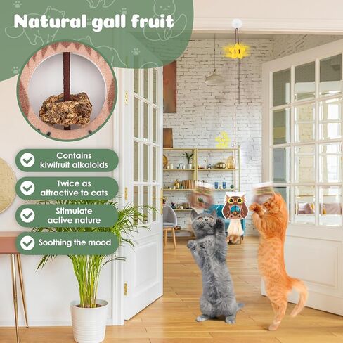 Fashion's Talk Cat Toy Interactive Hanging Door Cat Teaser Kitten Toys 80" 4-Pack Cats Toys Feather Toys with Catnip Ball Animal Exercise, Mental Physical Stimulation in Kuwait