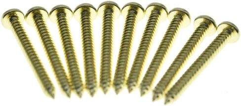 KAISH 10-Pack Phillips Round Head Stainless Steel Tremolo Claw Mounting Screws Trem Bridge Claw Screws for Floyd Rose Original Color in Saudi Arabia