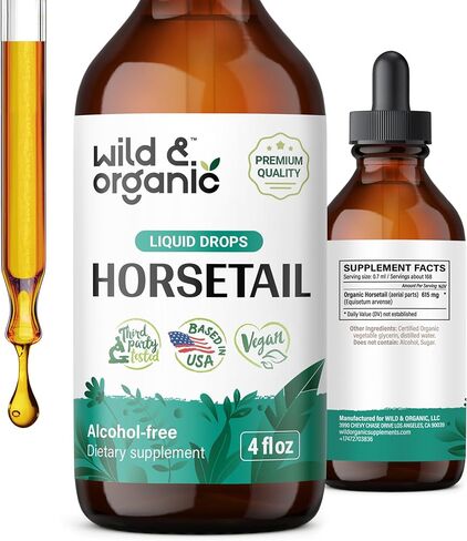 Wild & Organic Horsetail Liquid Extract - Horsetail Herb Supplement for Hair Growth - Vegan, Alcohol Free Drops - 2 fl oz in Kuwait