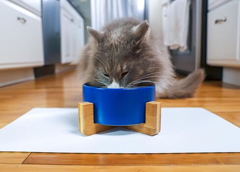NAT & Jules Small Black 6 inch Stoneware Ceramic and Wood Pet Bowl with Stand in Kuwait