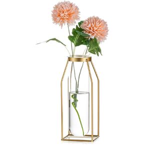 Sziqiqi Glass Propagation Station with Metal Frame - Gold Modern Flower Vase Clear Tube Vase for Plants Minimalistic Wire Square Vase for Room Decor Office Wedding Table Decoration