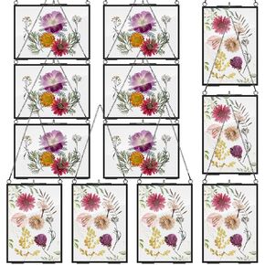 Barydat 12 Packs Pressed Flowers Glass Frames 5 x 7 Inch Brass Hanging Picture Frame Double Glass Frame with Chain Floating Photo Frame for Dried Flowers Plant Specimen Artwork Display (Black)