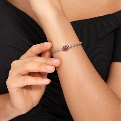 ARTCHARM Ladybird Cat Bow Dragonfly Pendant 925 Sterling Silver with Enamal Good Luck Bead fit Bracelets Charms,Christmas Valentine Mother's Day Gift for Women Girls in Saudi Arabia