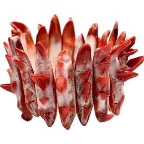 Parent- Spiny Oyster Double Drilled Bracelet in Kuwait