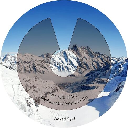 Performance Replacement Lenses Compatible with Oakley Turbine OO9263 Polarized Etched in Saudi Arabia
