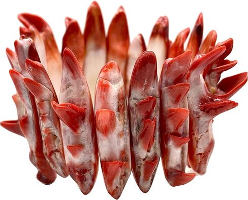 Parent- Spiny Oyster Double Drilled Bracelet in Kuwait