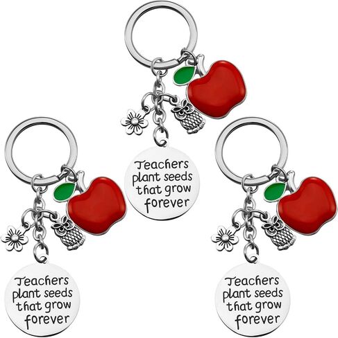 Hicarer 8 Pcs Teacher Appreciation Heart Teacher Keychain Set Christmas Teacher Gifts for Women in Saudi Arabia