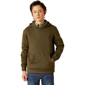 Ariat boys Faded Hoodie