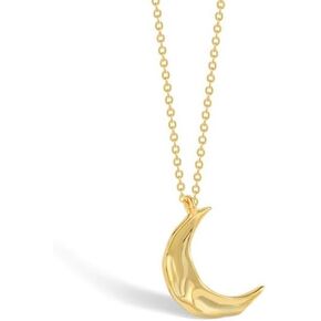 Lily/Mermaid/Angel Wings/Fox/Dolphin/Lotus/Compass/Turtle/Witches Knot Necklace Sterling Silver Jewelry Gifts for Women