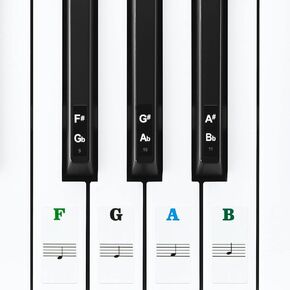 Linkidea Piano Keyboard Note Stickers (Black & Transparent Background) for 88/61/54 Key Acoustic & Digital Piano And Keyboards